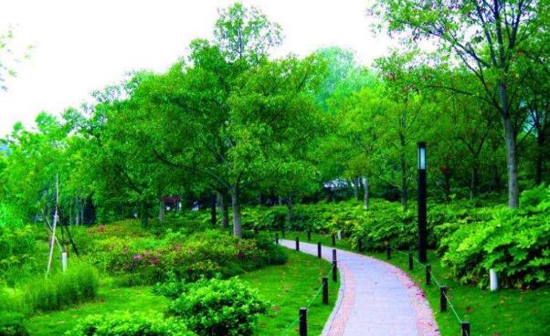 城市園林環(huán)保綠化工程施工中的植物養(yǎng)護(hù)策略